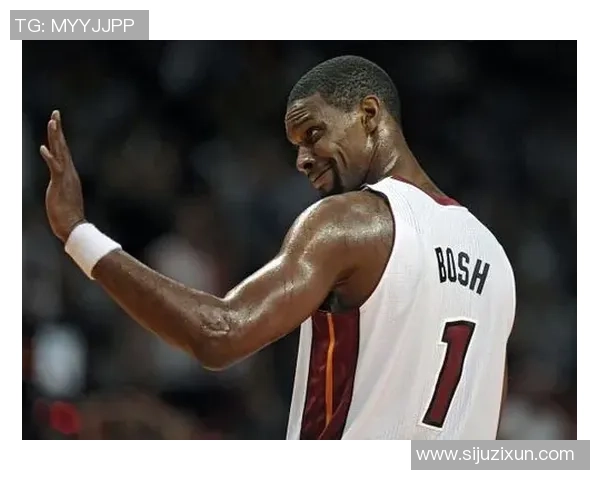 乐福与波什对决数据分析揭示两位球星的竞技风格与影响力