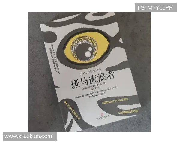 流浪者与快速的较量：在时间与空间的交错中寻找自我与归属