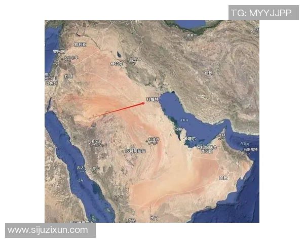 阿联酋与科威特激战正酣赛果揭晓引发热议