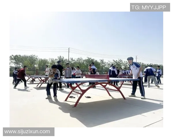 重生篮球明星逆袭人生从新起航重塑辉煌梦想与热血交织的青春故事